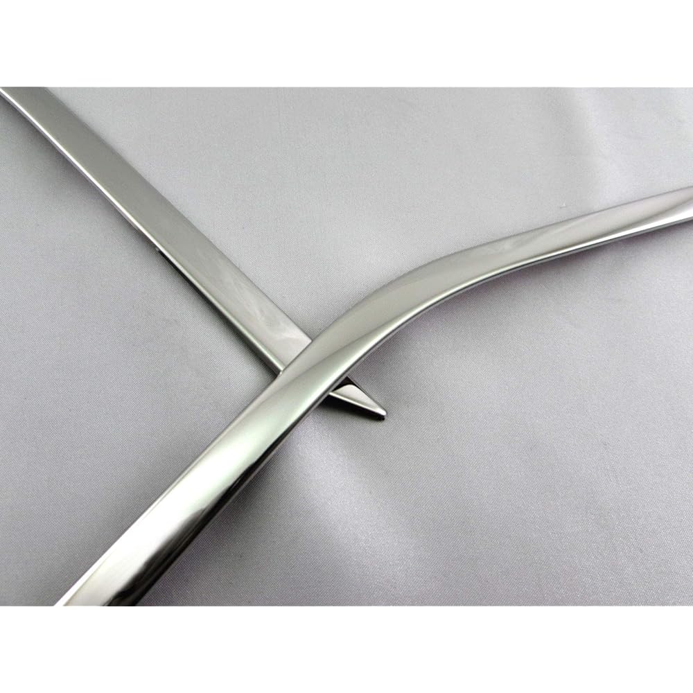 BRIGHTZ Leaf ZE1 Super Mirror Stainless Plated Fog Light Cover [FOG-COV-329] ZE E1 1 34286