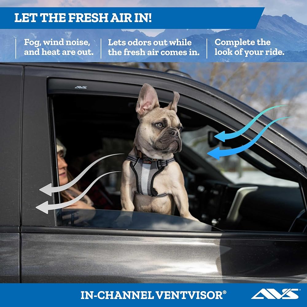 Auto VentShade194853 Inchannel Vent Vent Visor Side Window Dowa, 4 Piece Set