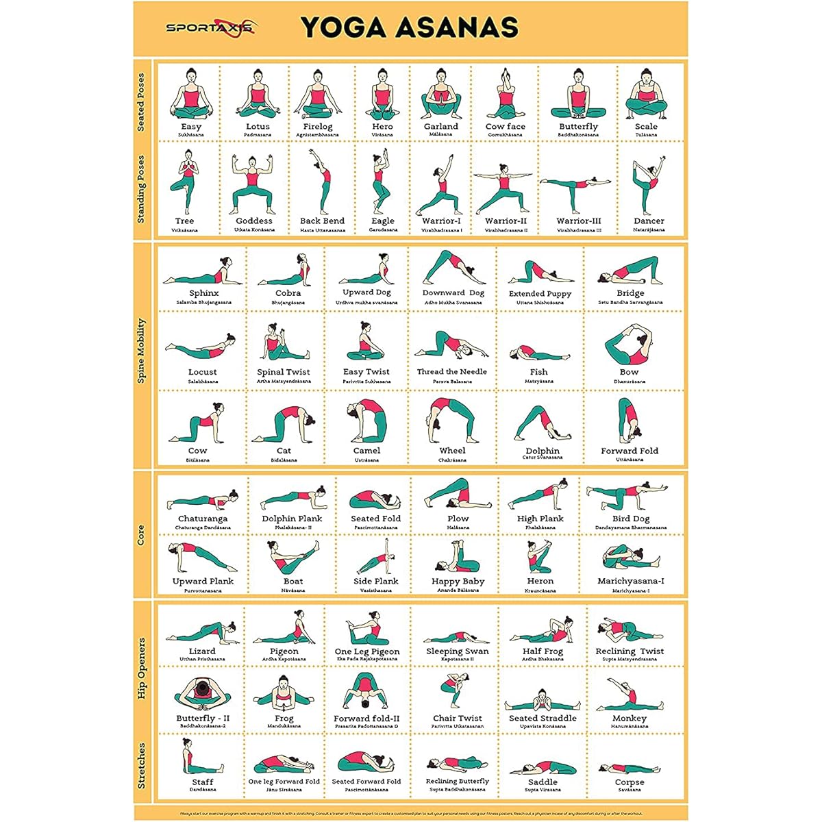 Sportaxis Yoga Poses Poster - 64 Yoga Asanas for Full Body Workout - Laminated Home Workout Poster Color Illustrations - English and Sanskrit Names - 18" x 27" (Double-Sided)