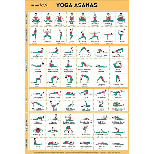 Sportaxis Yoga Poses Poster - 64 Yoga Asanas for Full Body Workout - Laminated Home Workout Poster Color Illustrations - English and Sanskrit Names - 18" x 27" (Double-Sided)