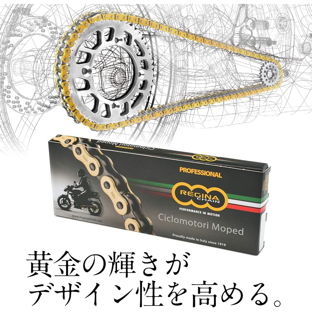 REGINA Daytona Motorcycle Gold Chain Clip Joint Included 420-110 Links Ape 50 etc. 14980
