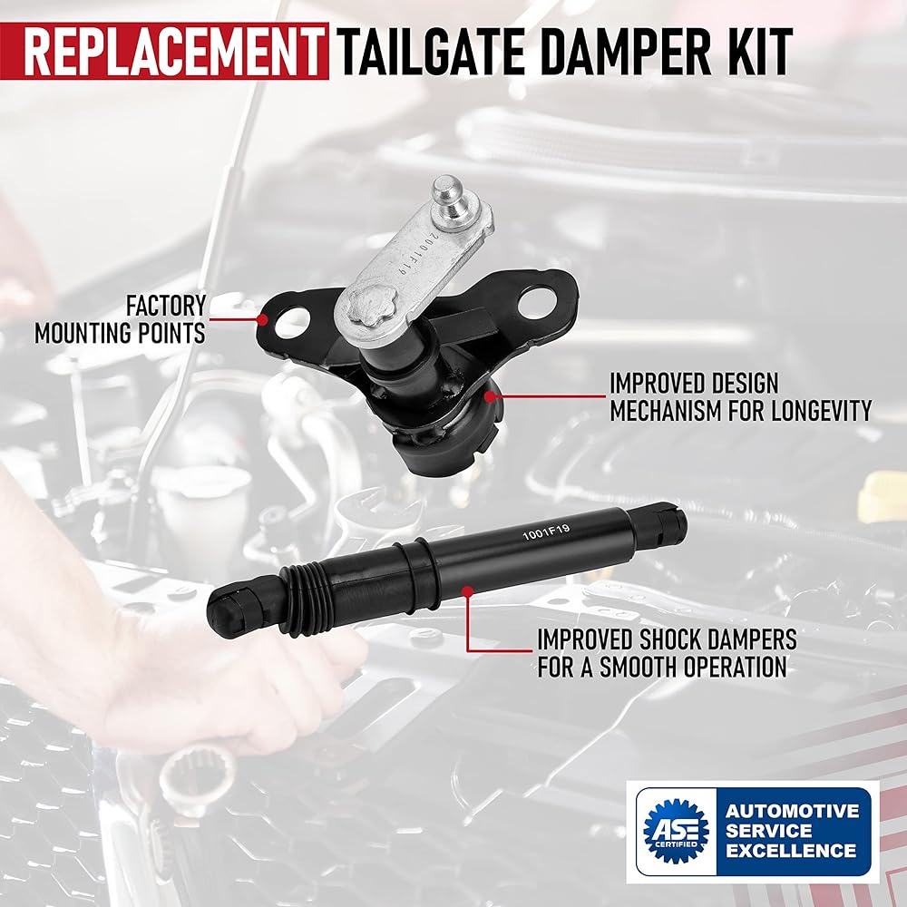 Tail Gate Damper Kit-Ford F-150, 2015, 2017, 2017, 2018, F-150 Raptor 2017-2019, FL3Z-99406A10-A, FL3Z99406A10A-Tailgate Assist Shock Strut-Lift Support Kit