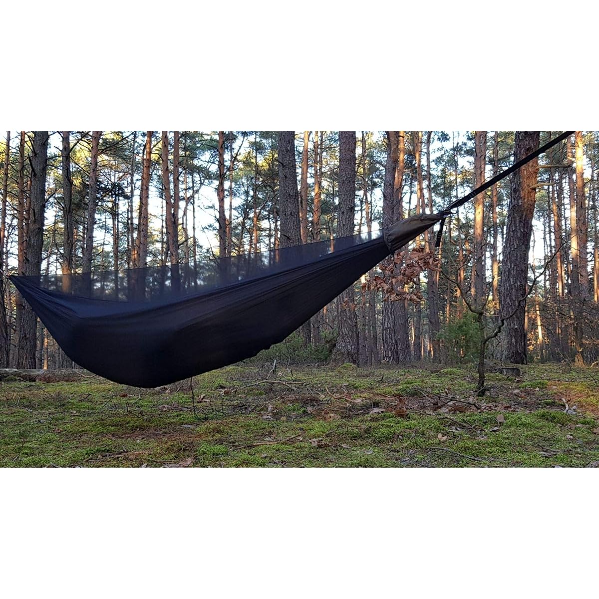 [BUSHMEN travel gear] VAGABOND Hammock set Vagabond hammock set Japanese genuine product