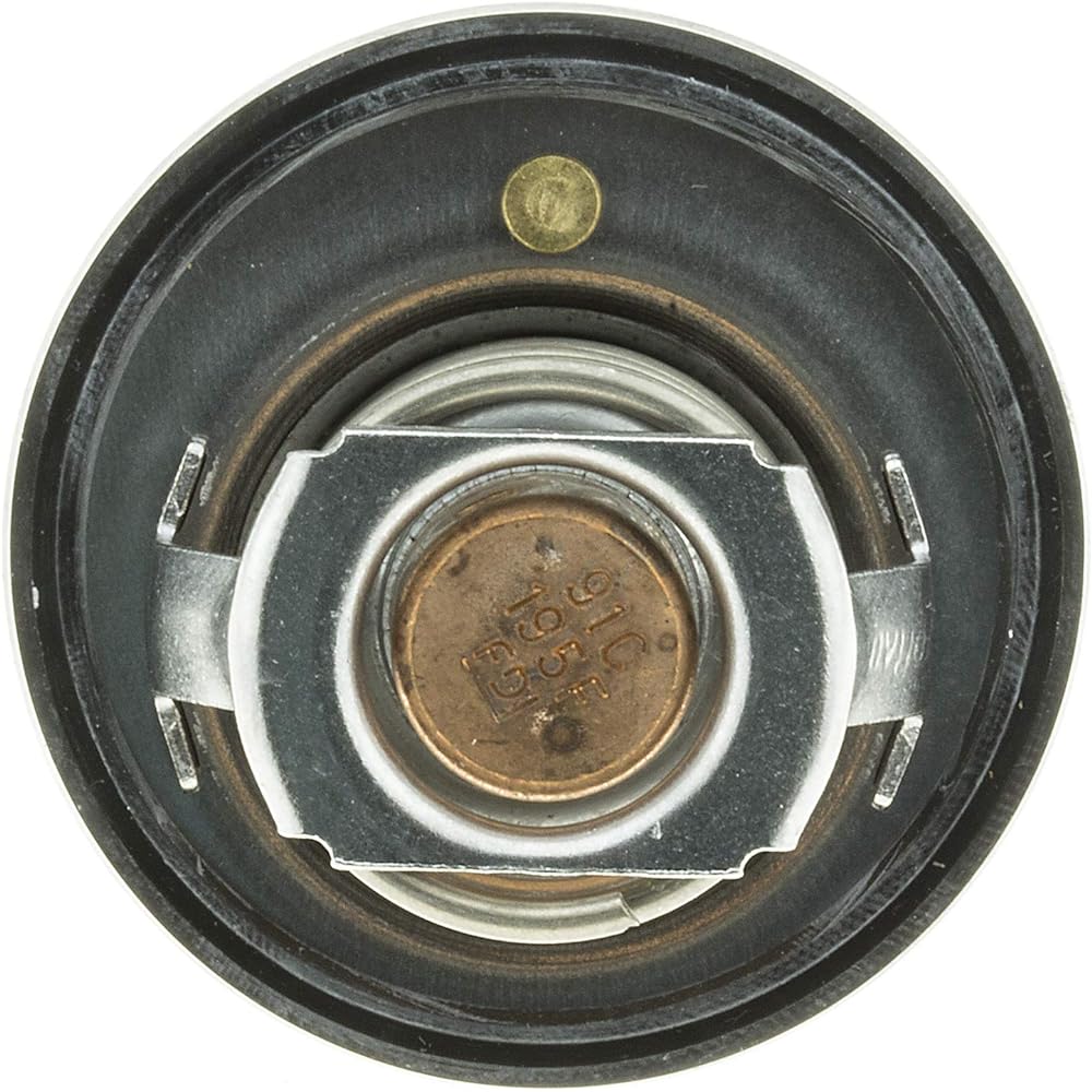 Motorad 656-195 Thermostat.