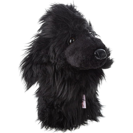 Daphne's Head Cover Black Poodle Hybrid Black Poodle Hybrid