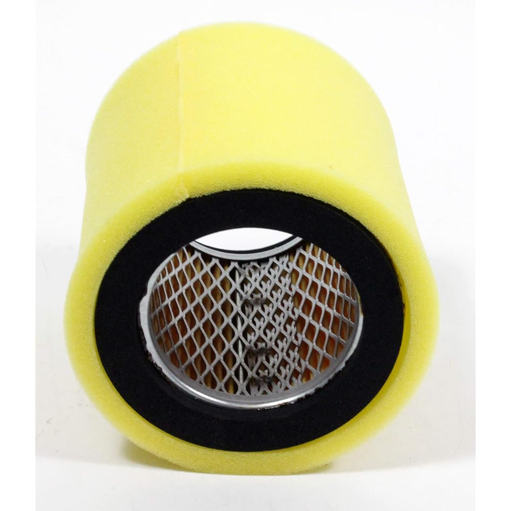 Kawasaki Genuine Element Air Filter 11013 – 1008