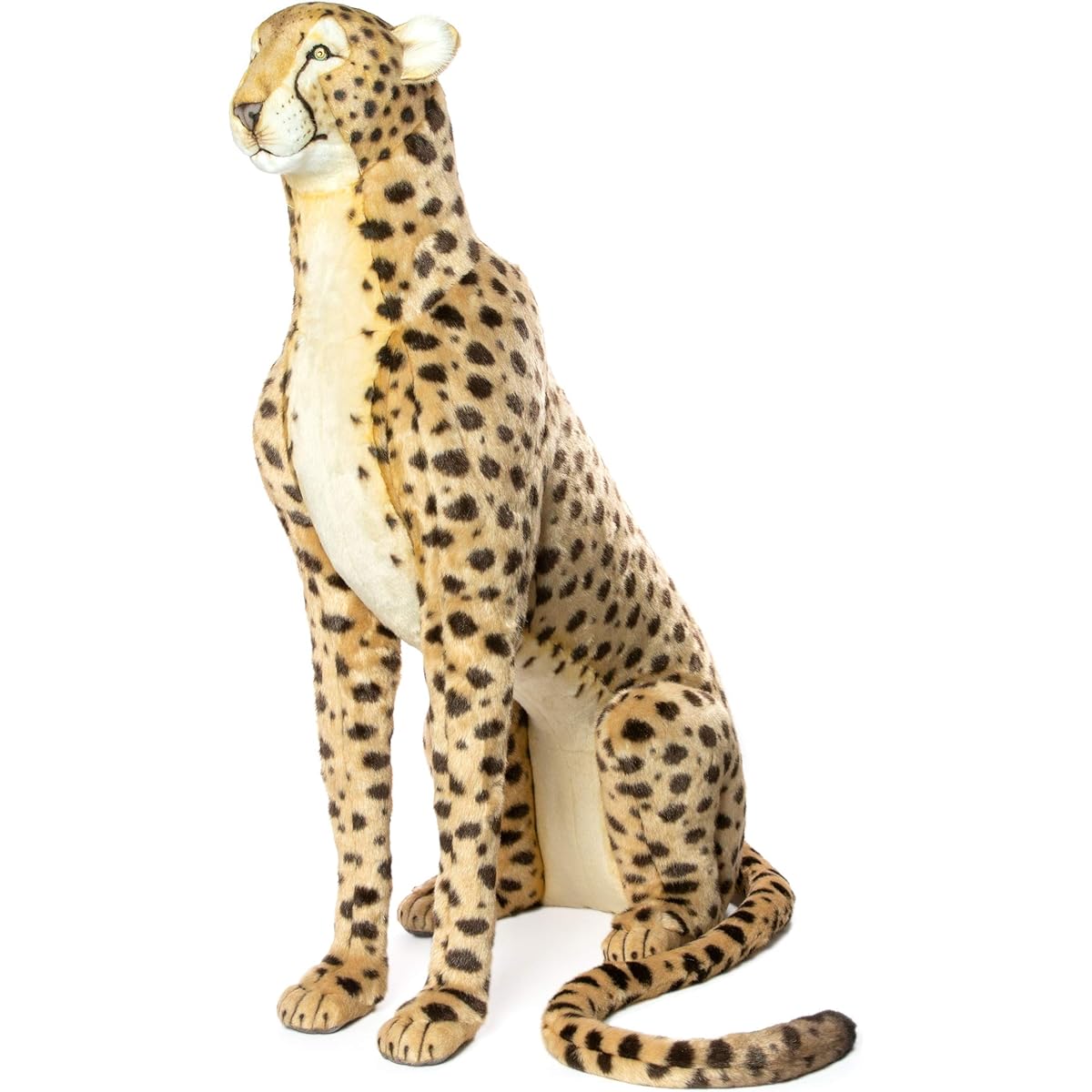 BH6543 HANSA Cheetah 110