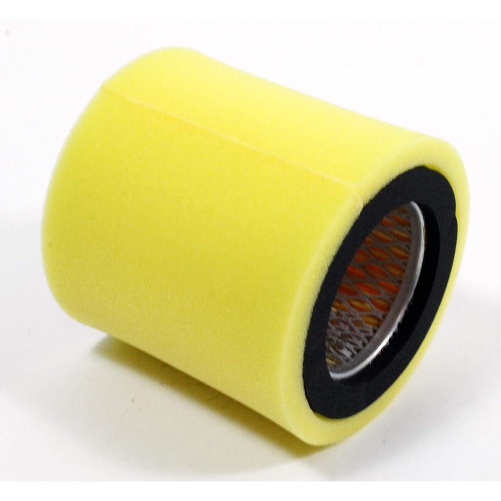 Kawasaki Genuine Element Air Filter 11013 – 1008