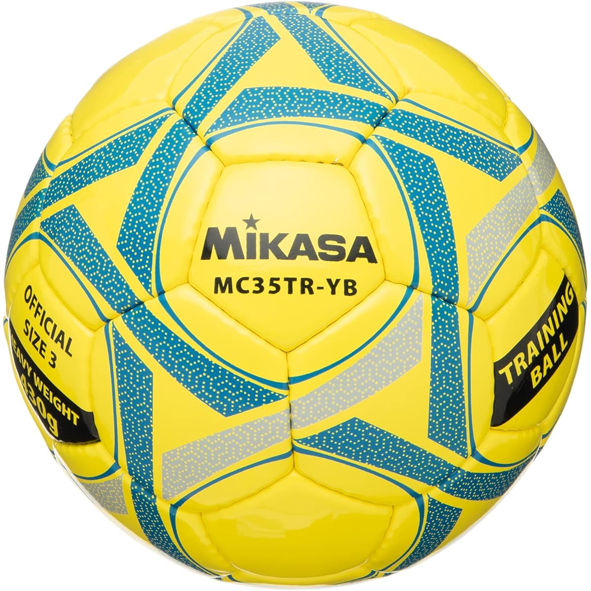 MIKASA Training Medicine Ball