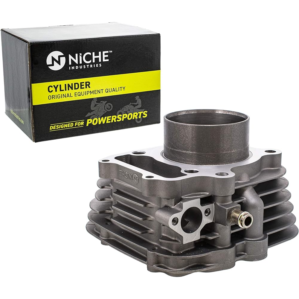 NICHE 300cc Engine Cylinder Honda 1993-2009 Sportrax TRX300EX TRX300X 12100-HM3-L00