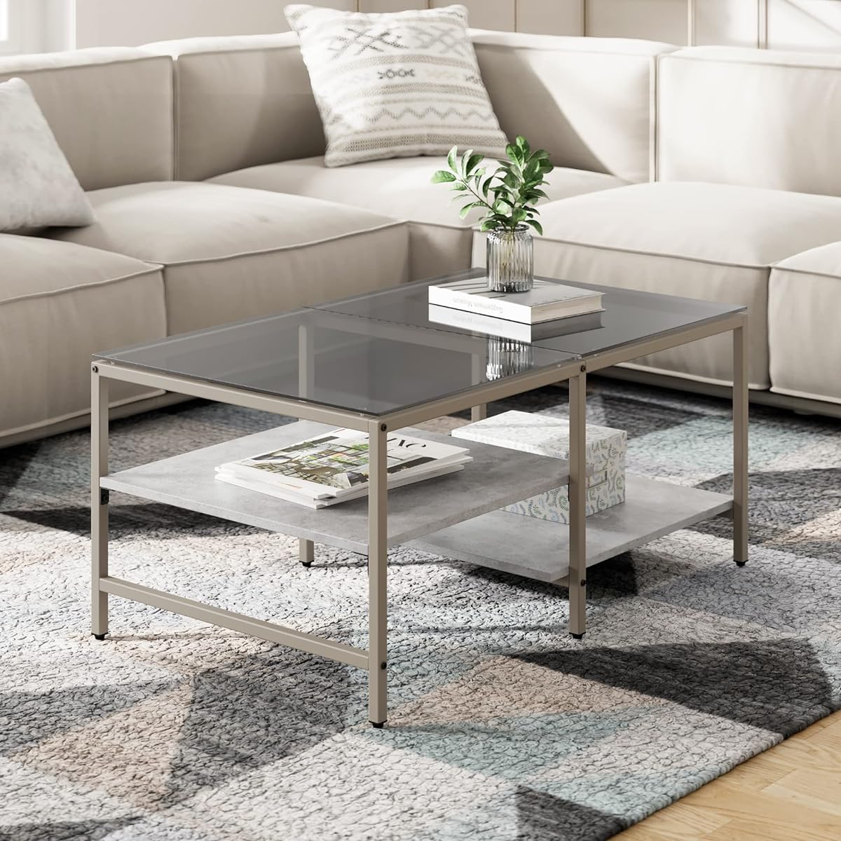 HOMOOI Low Table Center Table Glass Table Two Tier Storage Tempered Glass with Storage Stylish Living Room Single Living Width 100 x Depth 60 x Height 45cm Sapele