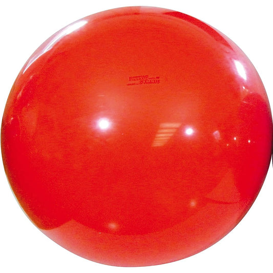 GYMNIC Physio Gymnic Made in Italy
