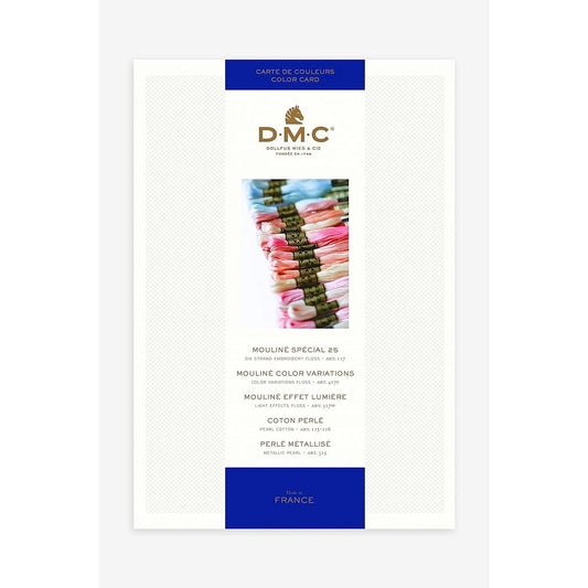 DMC embroidery thread color sample book with actual sample W100B