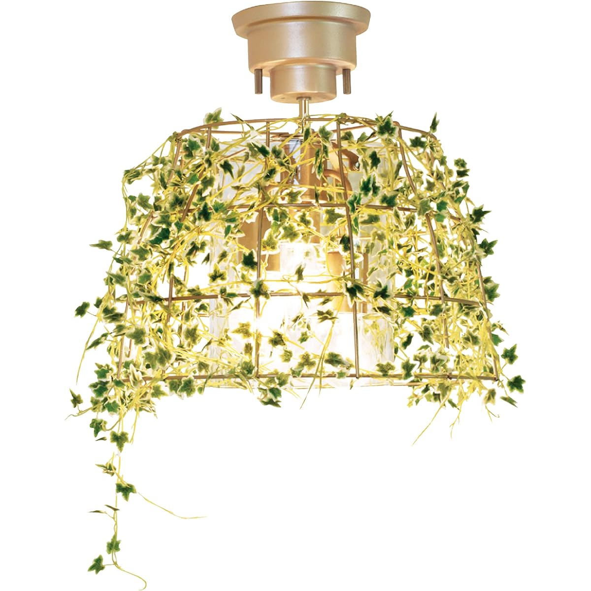 Kishima Botanic [CT Catalyst] Ceiling Light 3 Lights Ivy CC-40350