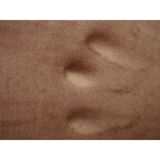 Hagiwara Rug Smooth Memory Foam Rug "Marshmallow" Brown Approx. 190X240 Non-Slip Process 240602834