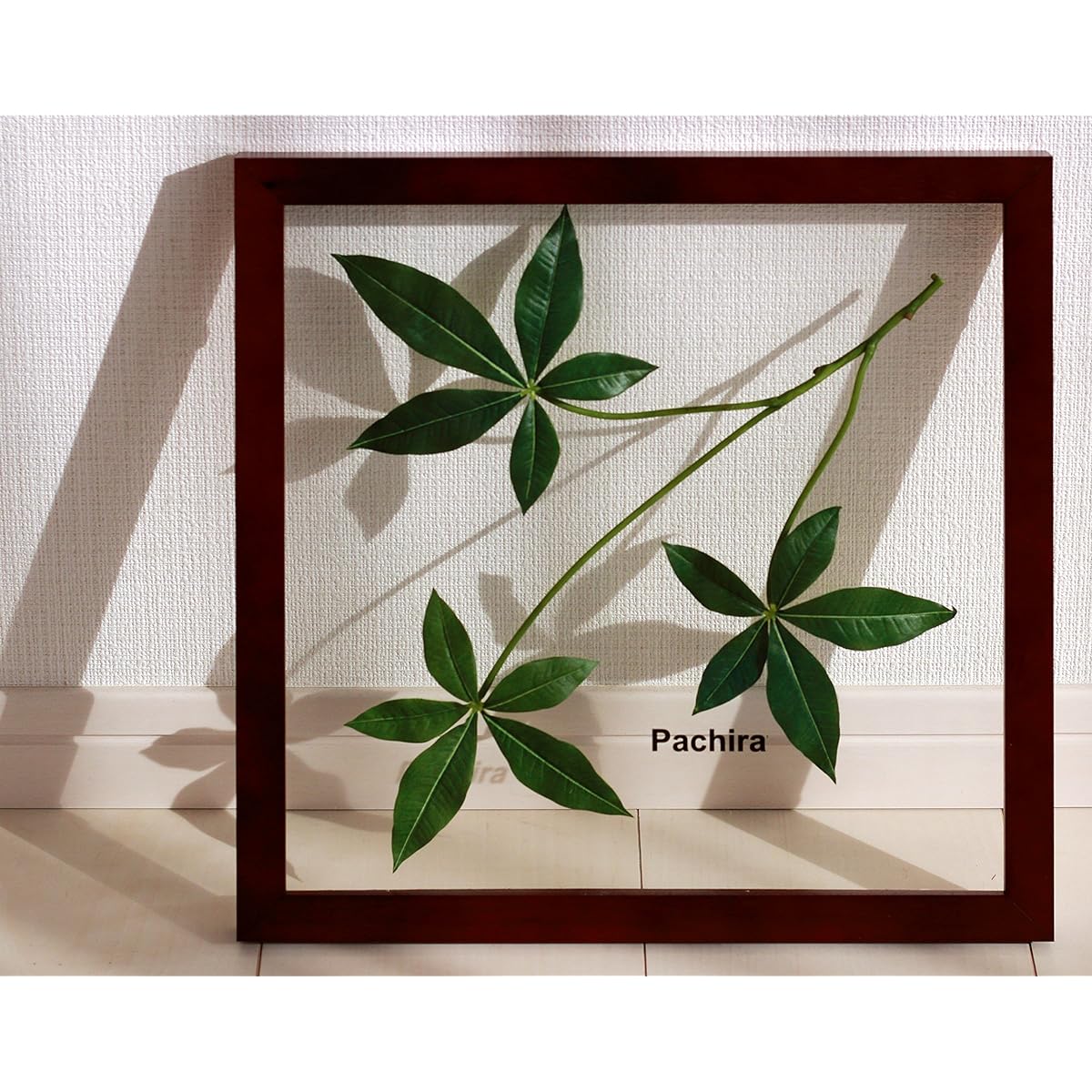 Leaf Panel Made in Japan Handmade Pachira Ayuwara Decoration Instructions Included Painting Interior Wall Hanging Framed Leaf Panel Art Panel Living Room Entrance Present Modern Art Frame Stylish
