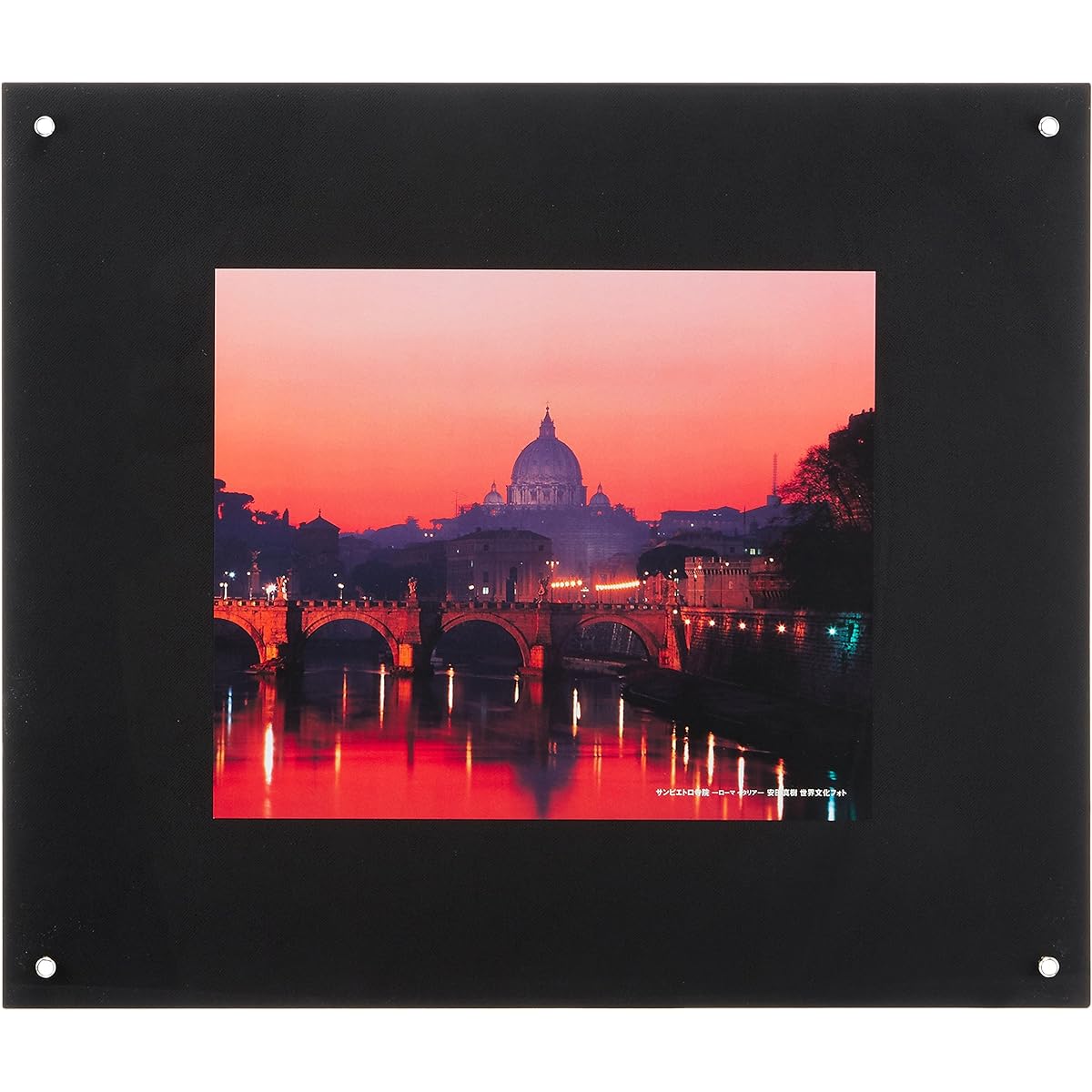 FUJICOLOR Picture Frame Pro Frame [Special Size Free L] Special Size Acrylic Black 40090