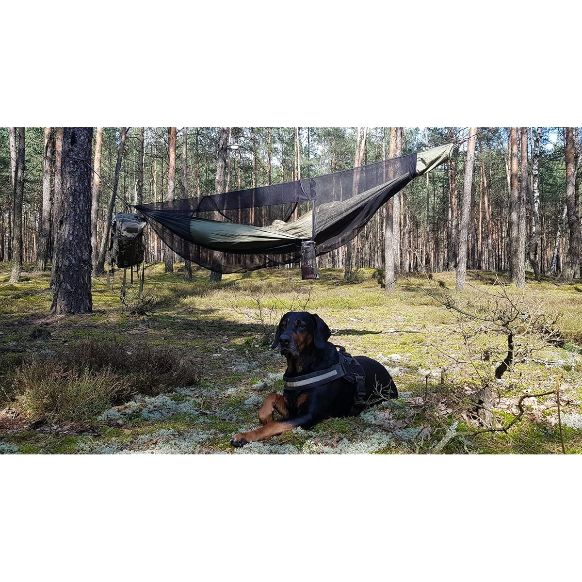 [BUSHMEN Travel Gear] [BUSHMEN Travel Gear] JUNGLE Hammock set Jungle Hammock Set [All-in-one set of hammock + mosquito net + tree hugger + carabiner] Genuine Japanese product