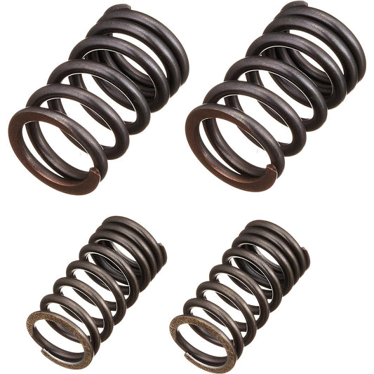 SP Takegawa Valve Spring Set Monkey 01-12-0101