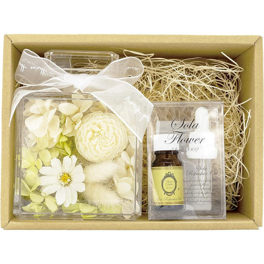 Paseo Perfume Flower WH Zinnia Set KD-157WH