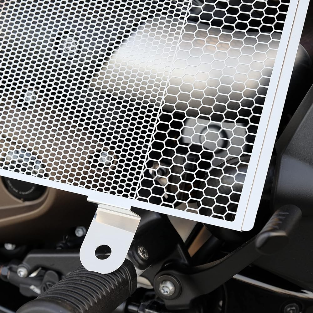 Terada Motors Sports Star S Radiator Core Guard Black