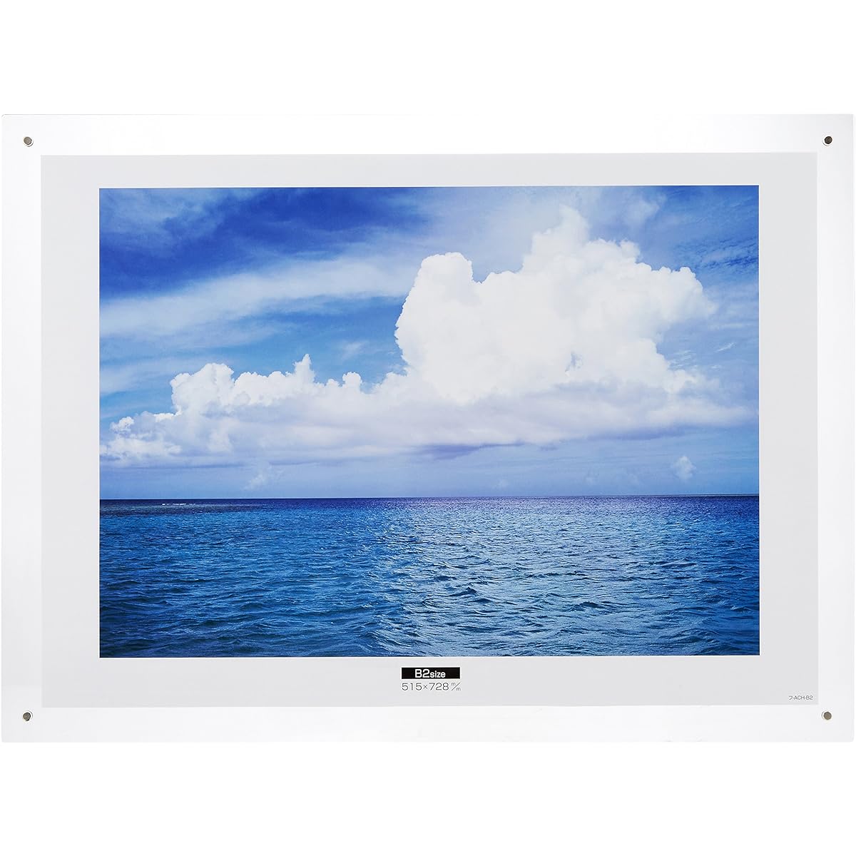 F-ACH-B2 Picture frame wall-mounted type [Electronics]