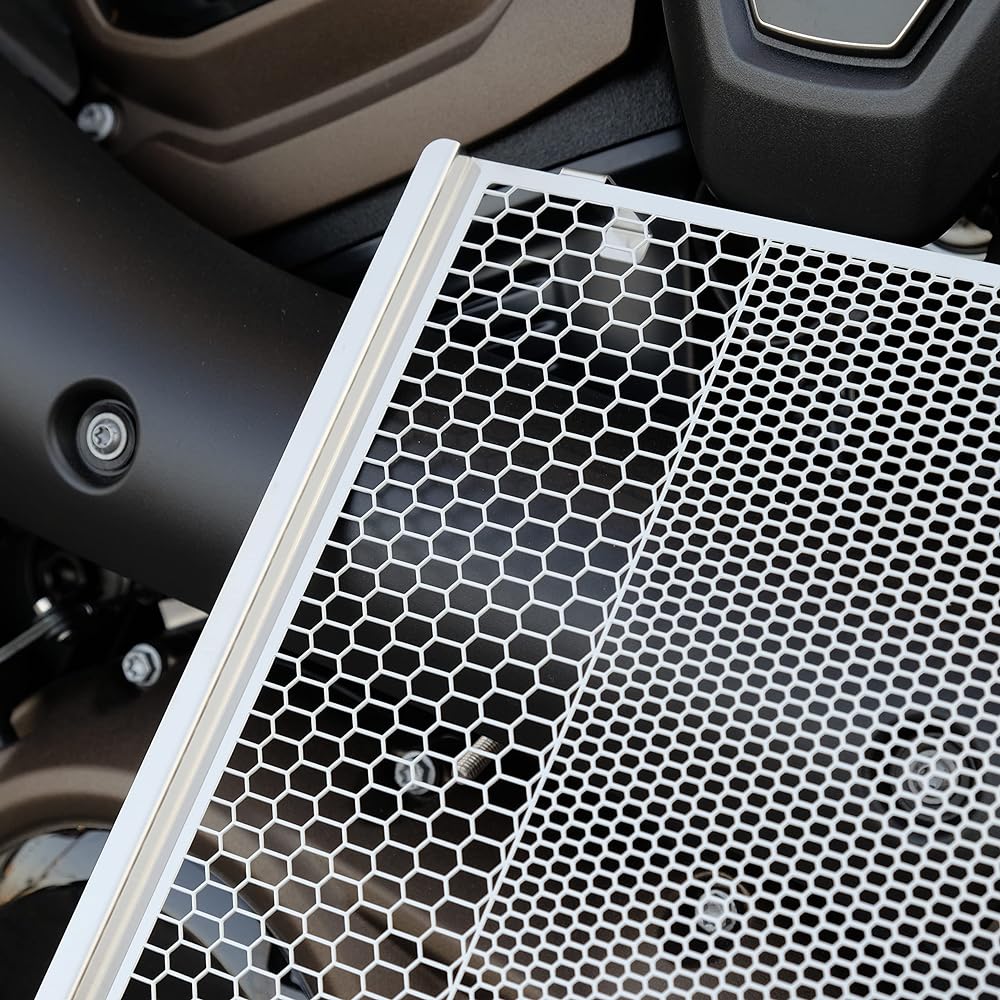 Terada Motors Sports Star S Radiator Core Guard Black