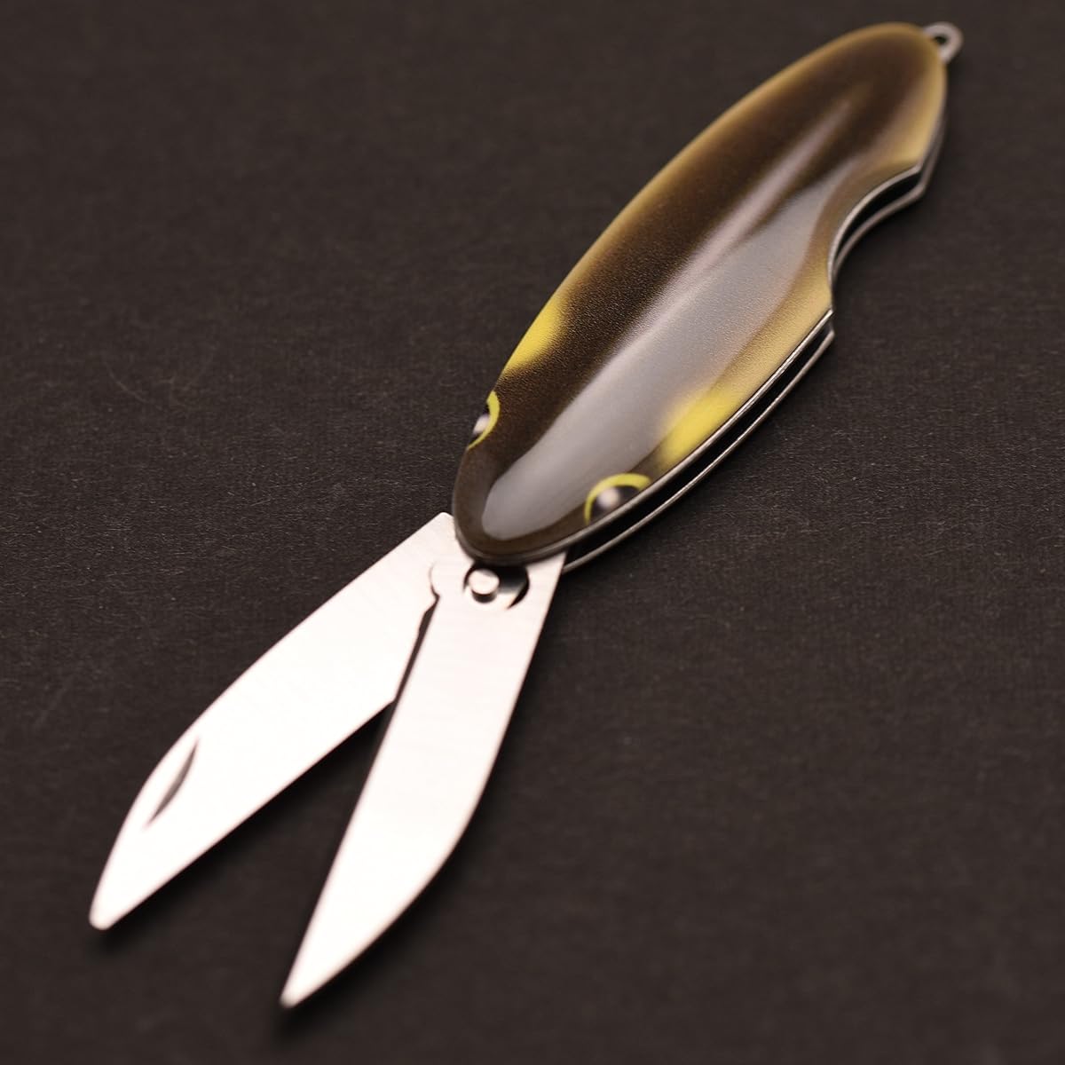 G・SAKAI Ayu Eye (scissors)