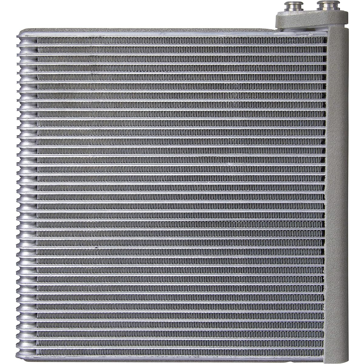 SPECTRA Premium 1010197